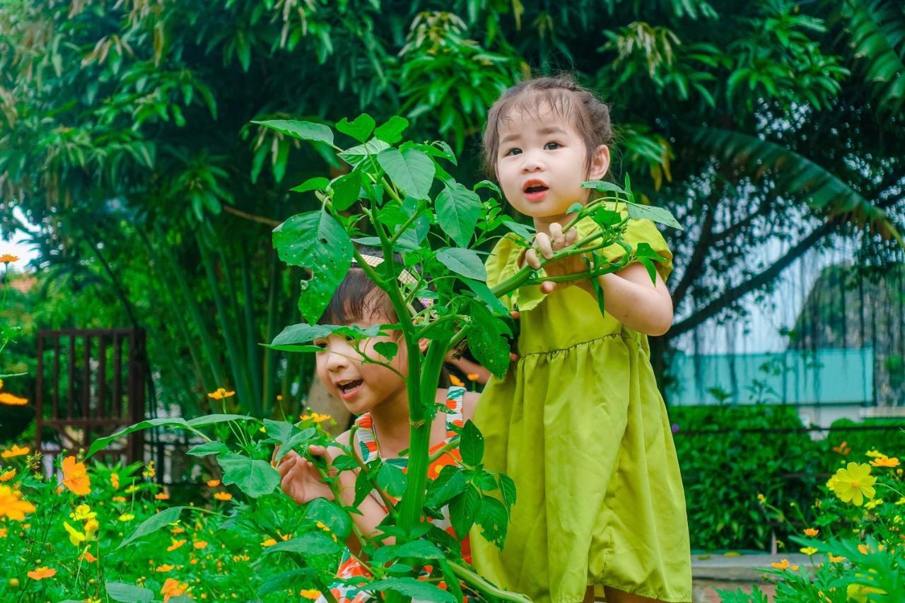 Ninh Binh Mountain Side Homestay & Cafe Exterior foto